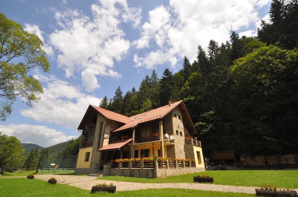 Pensiunea Denisa Lunca Bradului Exterior foto