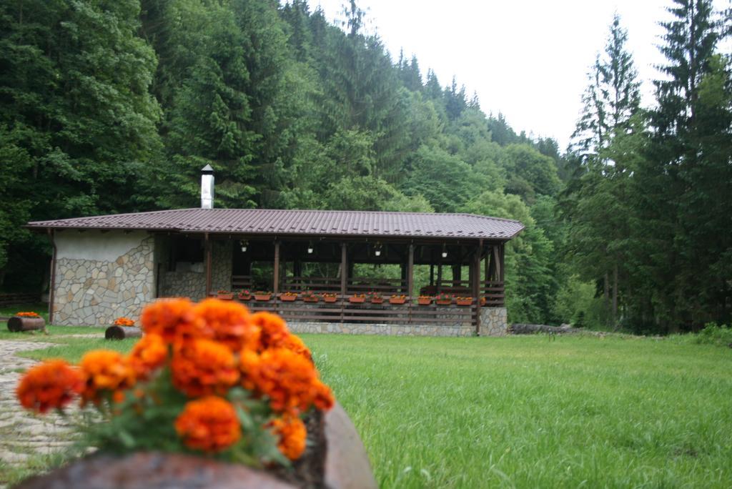 Pensiunea Denisa Lunca Bradului Exterior foto