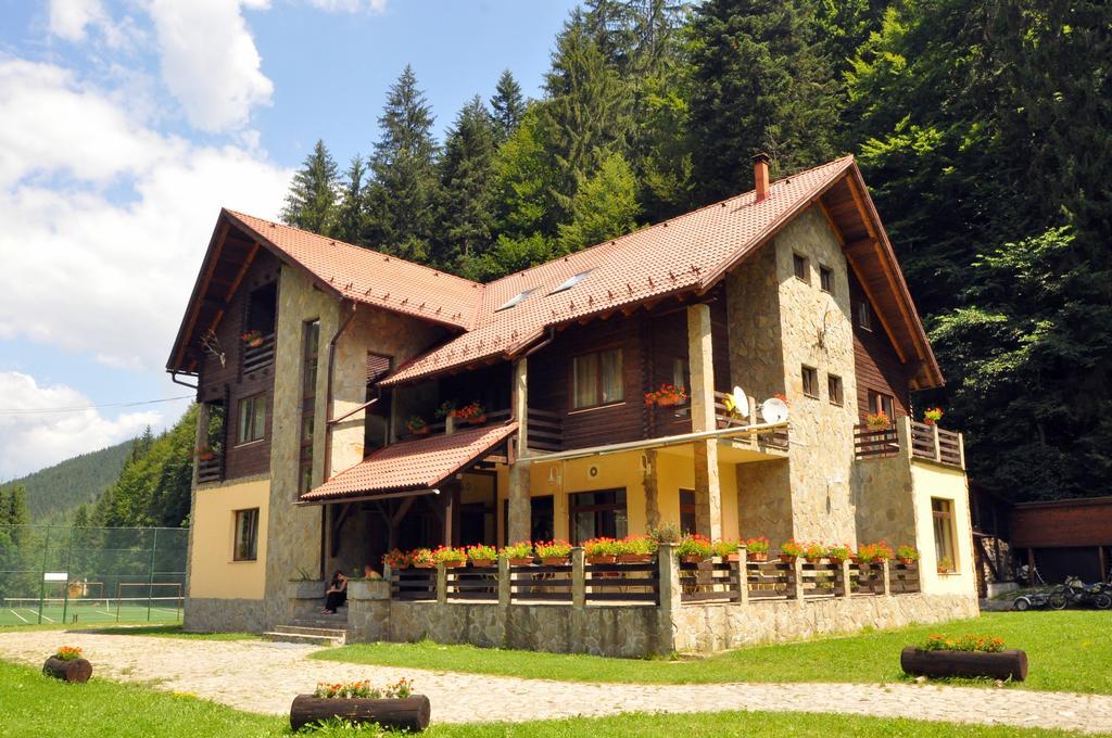 Pensiunea Denisa Lunca Bradului Exterior foto